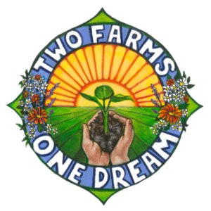 CSA Seasonal Produce